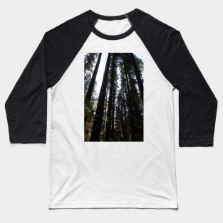 Lost in the Woods Baseball T-Shirt